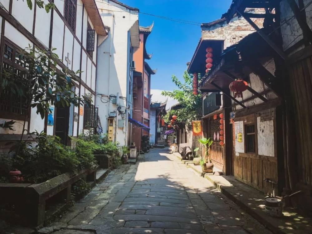 小猫钓鱼正版下载中文版